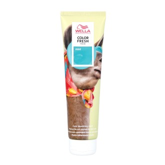 Wella Color Fresh Farbabgabe-Maske - Minze 150 ml