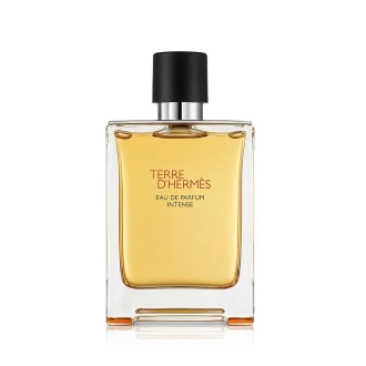 Hermès Terre dHermès Intense EDP Intense nachfüllbar 100 ml M